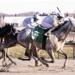 Pimlico project “on track” but long way to go