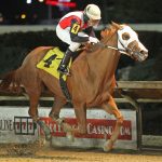Could Circle P, Wild Vine give Stites winning hand?
