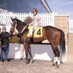 Triple Crown: Fountain of Youth picks and analysis