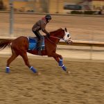 Laurel Park: Latest jockey and trainer stats