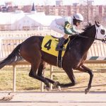 Handicapping: Know your point-to-points