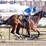 Laurel: Speedyness to cut back in Not for Love