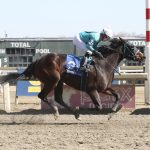 Virginia Derby: Lukas hopes American Promise ready to deliver