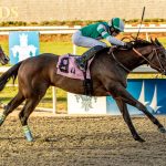 Nick’s Picks: Colonial Downs picks March 14, 2025