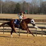 Derby Trail: Where we stand after Virginia Derby
