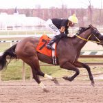 Derby trail: Tappan Street, Sandman punch tickets