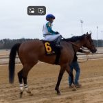 Laurel Park picks and ponderings: May 3, 2025