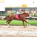 Rider Angel Castillo gets 1,000th win