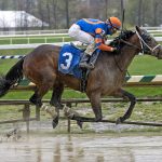 Laurel Park picks and ponderings: April 12, 2025