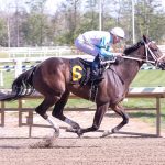Journalism tabbed as Kentucky Derby chalk