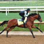 Trainer Butch Reid nets 1,000th win