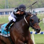 Social Chic just up in thrilling Confucius Say
