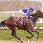 Maryland to spike Racetrack Operating Authority