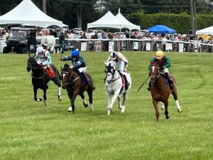 Foxfield Races