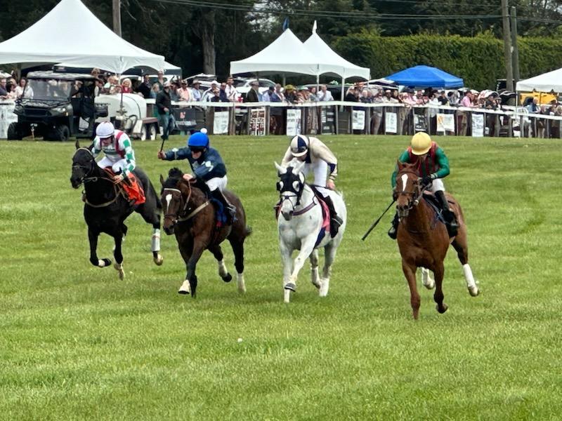 Foxfield Races