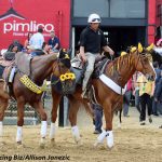 Delaware Park cancels opening day card