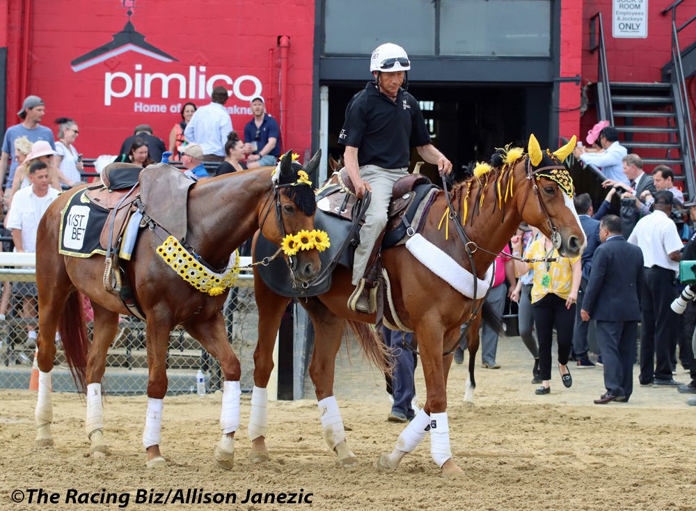 Pimlico