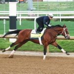 Preakness: 20 years on, Afleet Alex and Scrappy T forever connected