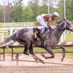 Md-bred Mindframe in time in Churchill Downs
