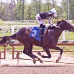Kentucky Derby runners mull Preakness possibilities