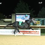 Pimlico picks and ponderings: May 11, 2025