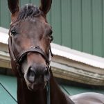 Preakness Profile: Journalism