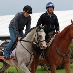 Preakness Profile: River Thames