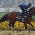 Preakness Profile: Sandman