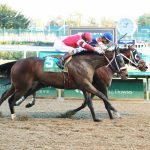 Dozen to contest G3 Penn Mile