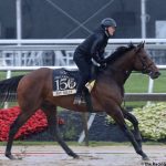 One last time, it’s always something at Pimlico