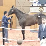 Charles Town: Latest jockey and trainer stats