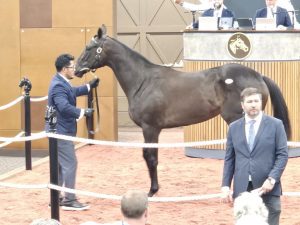 Hip 368