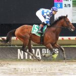Laurel Park picks and ponderings: June 15, 2025
