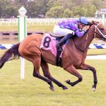 Delaware: Gift of Gab chats up feature win