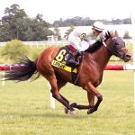 Laurel: Placing error leads to superfecta change
