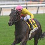 Laurel Park: Latest jockey and trainer stats