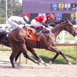 Jockey Sonny Leon earns 1,000th win