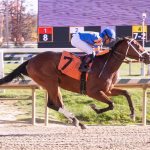 Argyle and Thoroughbred racing in the 1830s