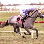 Midlantic-breds in Saratoga Stakes July 19