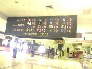 Pimlico toteboard