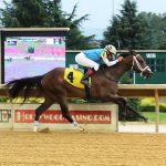 Fasig-Tipton alters 2-year-old sale protocol