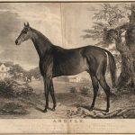 Delaware Park picks and analysis: July 10, 2025