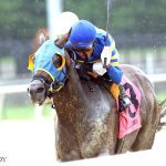 Winfinity rallies to Miss Disco victory