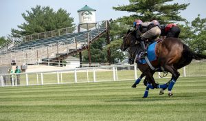 Fair Hill