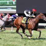Jockey Jaime Rodriguez goes 5-for-5 at Delaware