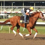 Delaware Park will reduce some overnight purses