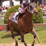 Shore Bets: June 27