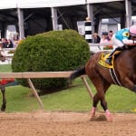 Ben’s Cat notches third McKay in four years