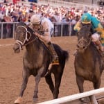 Ben’s Cat notches third McKay in four years