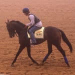 Preakness Profiles: General a Rod
